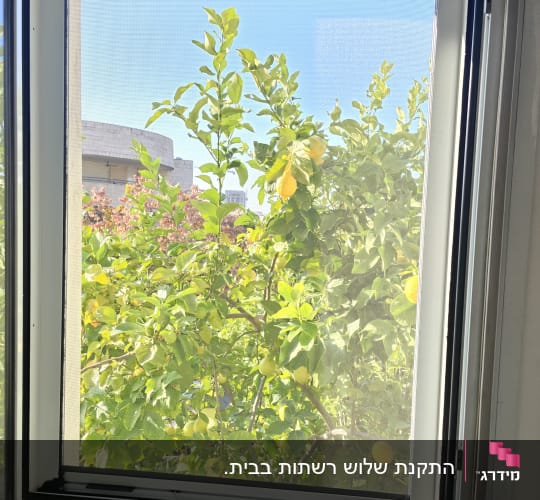 מסגרת חלון אלומיניום פתוחה עם רשת שקופה